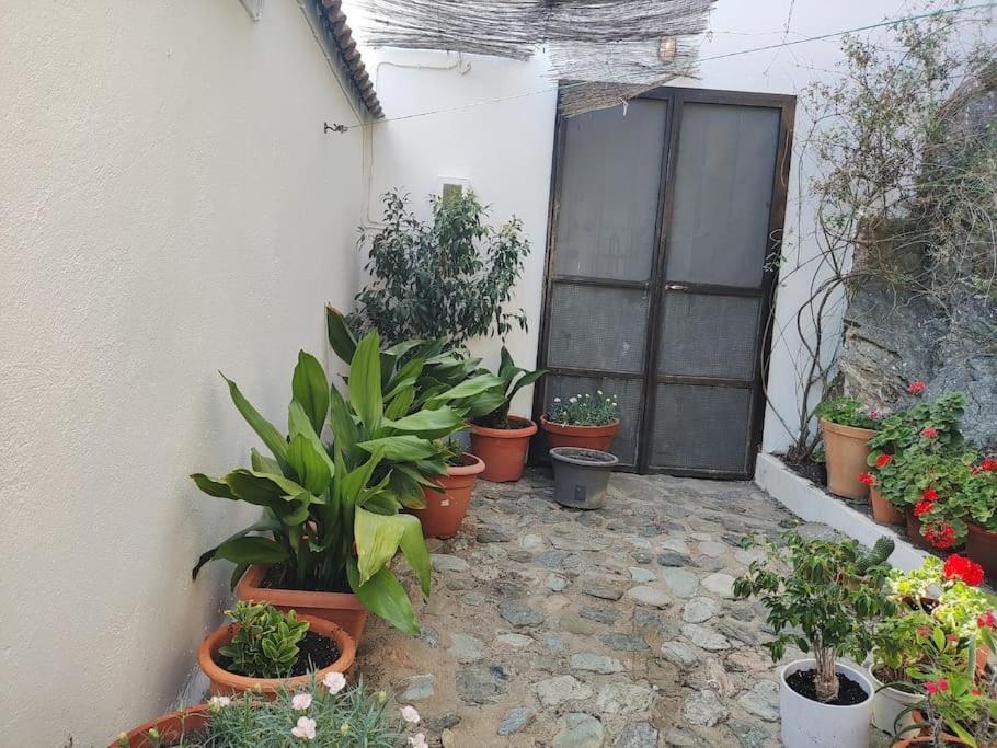 Casa En El Valle De Guainosaltos Adra Luaran gambar